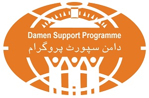 DSP Logo